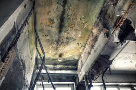 Asbestos and Lead Testing During Mold Inspection in Willowbrook, CA